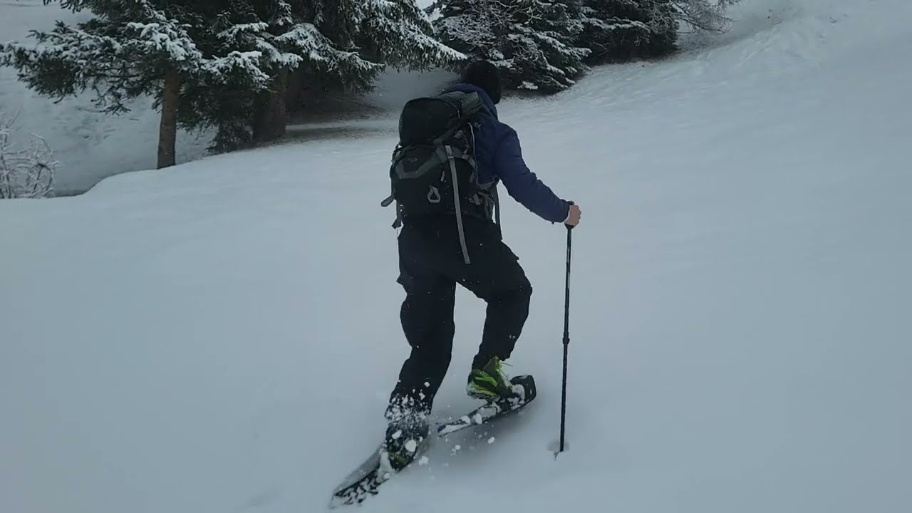 SCHNEESCHUHWANDERN