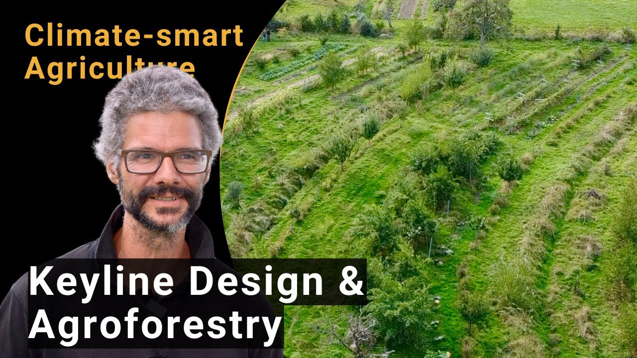Keyline Design and agroforestry on the Aebleten farm - Climate-smart solutions