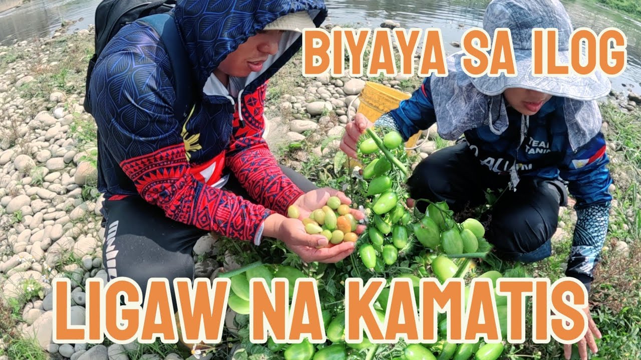  HINAGISAN KO ANG ISLA NG MGA TILAPIA SAPOL!