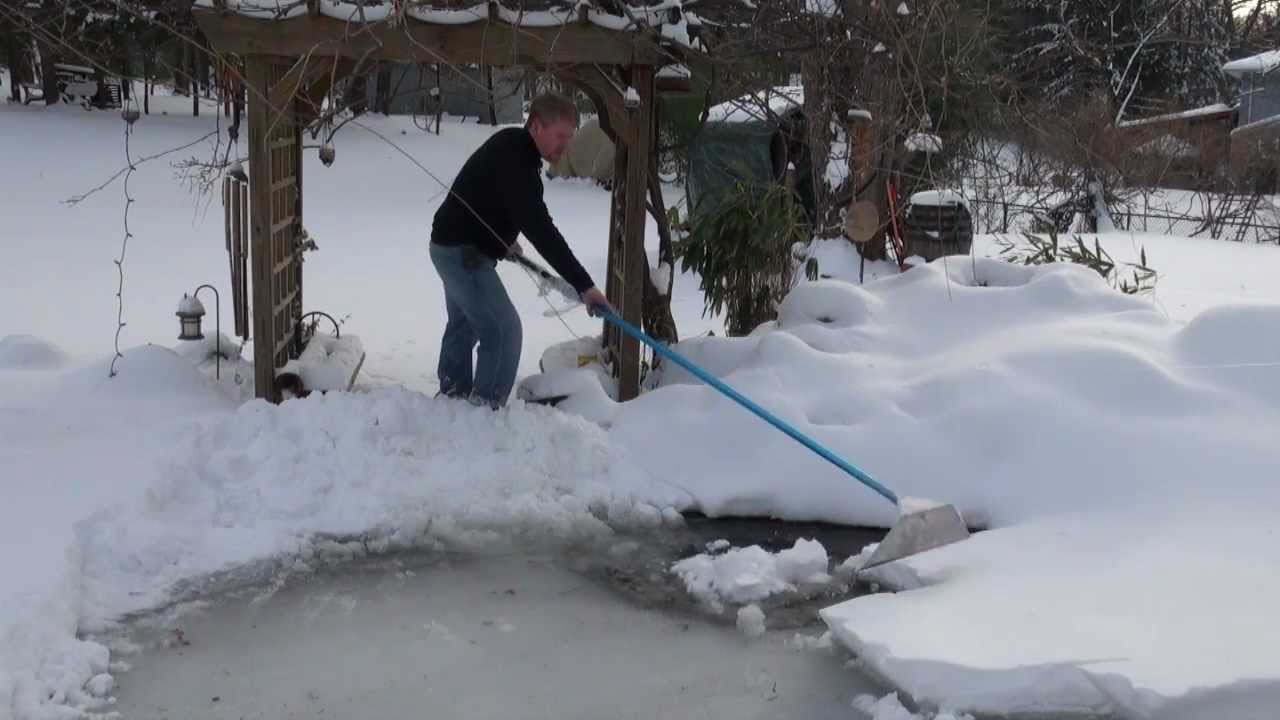 Winter Care For Your Koi Pond Watergarden How To