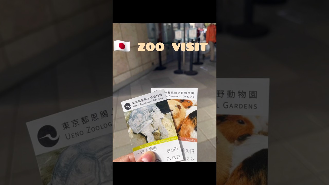 Japan 🇯🇵 zoo visit vlog 🦍🦧🦁🐘🐼🐾🐧 