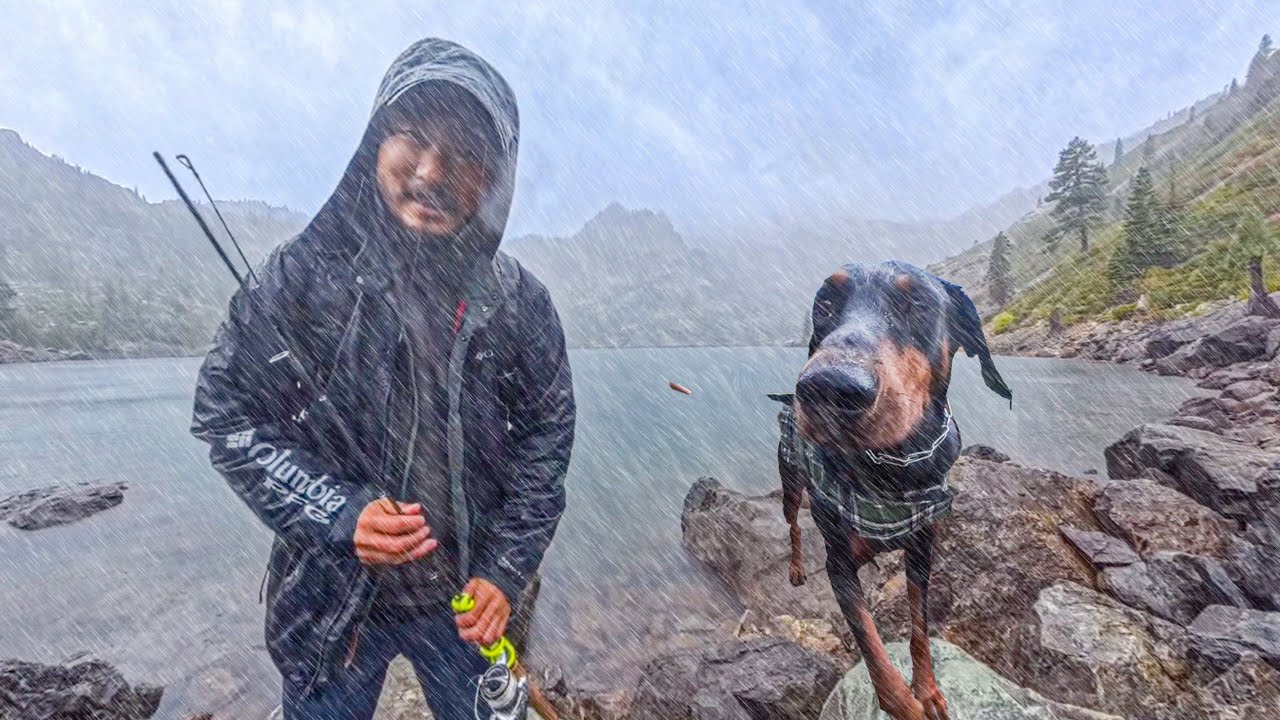 Рыбалка на АЛЬПИЙСКОМ ОЗЕРЕ под дождём | поездка на фургоне с собакой