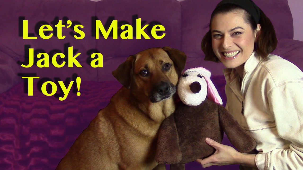 Let's Make A Stuffed Toy for My Dog Jack!