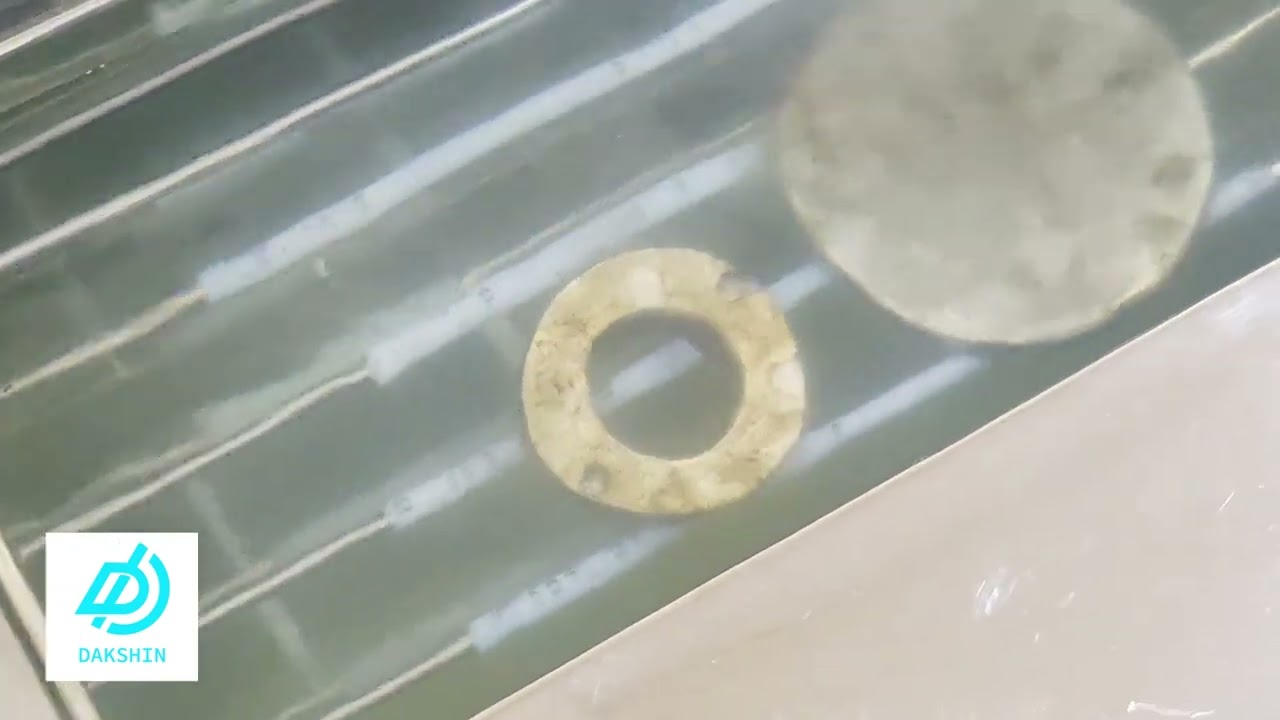 DAKSHIN'S EXPLOSION-PROOF ULTRASONIC BATH SONICATOR