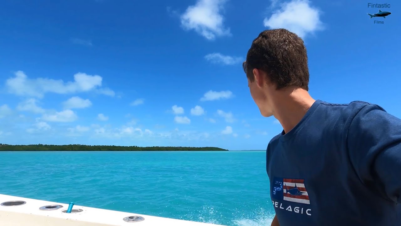 Why You NEED To Dive in the Florida Keys!