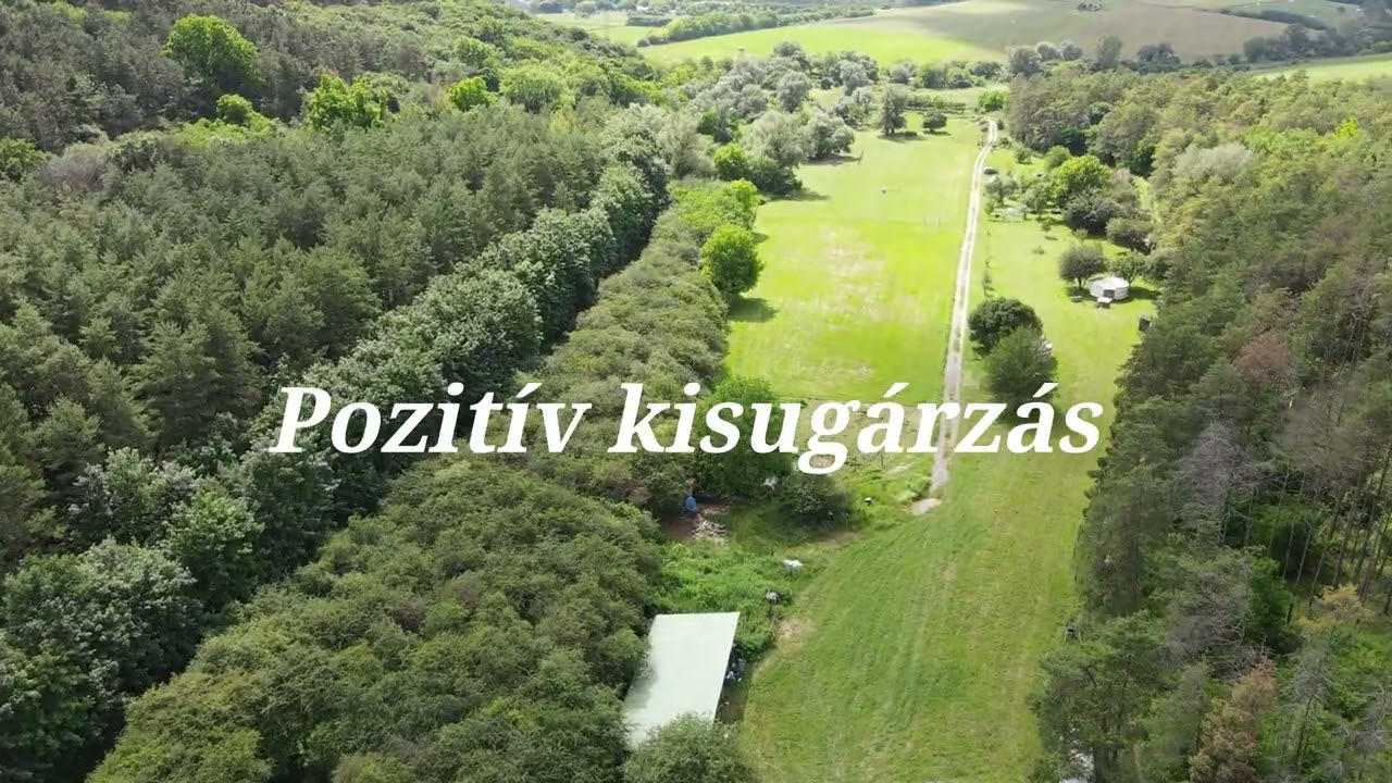 5,2 Hektáros birtok eladó Budapest  közelében