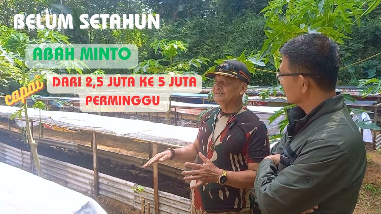 KUNJUNGAN KE MITRA RAJ : CAPAIAN ABAH MINTO PURNAWIRAWAN DARI BETERNAK CACING TANAH