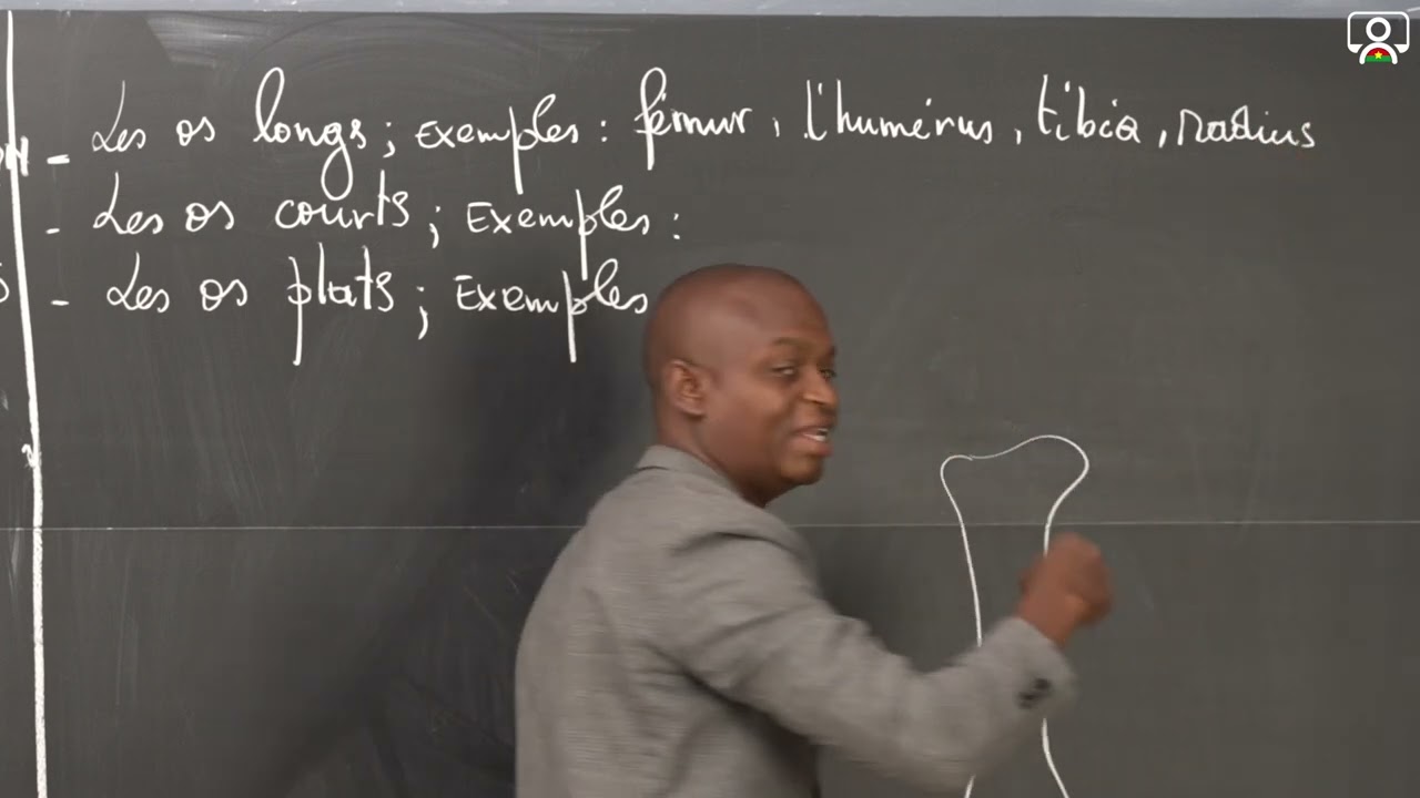 Cours - 3e - SVT  : Les os 1/3