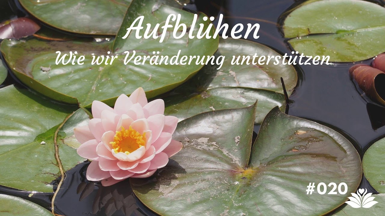 Aufbl&uuml;hen - Wie wir Ver&auml;nderung unterst&uuml;tzen