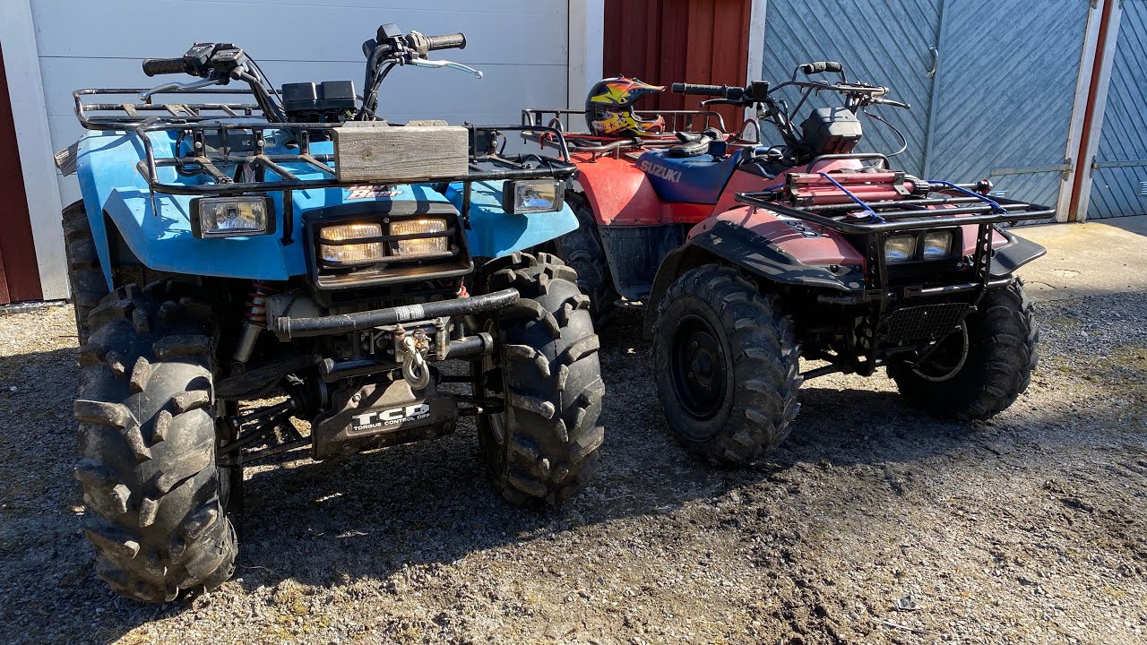 Big bear VS King Quad