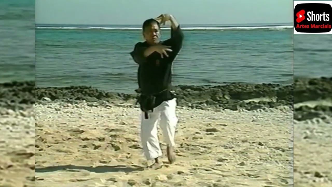 HAKUTSURU NO KATA SHINPO MATAYOSHI-KATA DA Egret Gar&ccedil;a Branca