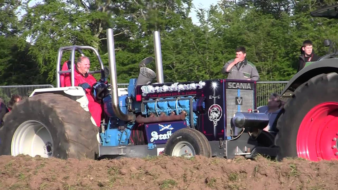 STPC Round 3 2015, 2. First specialist pulls at Angus Show.