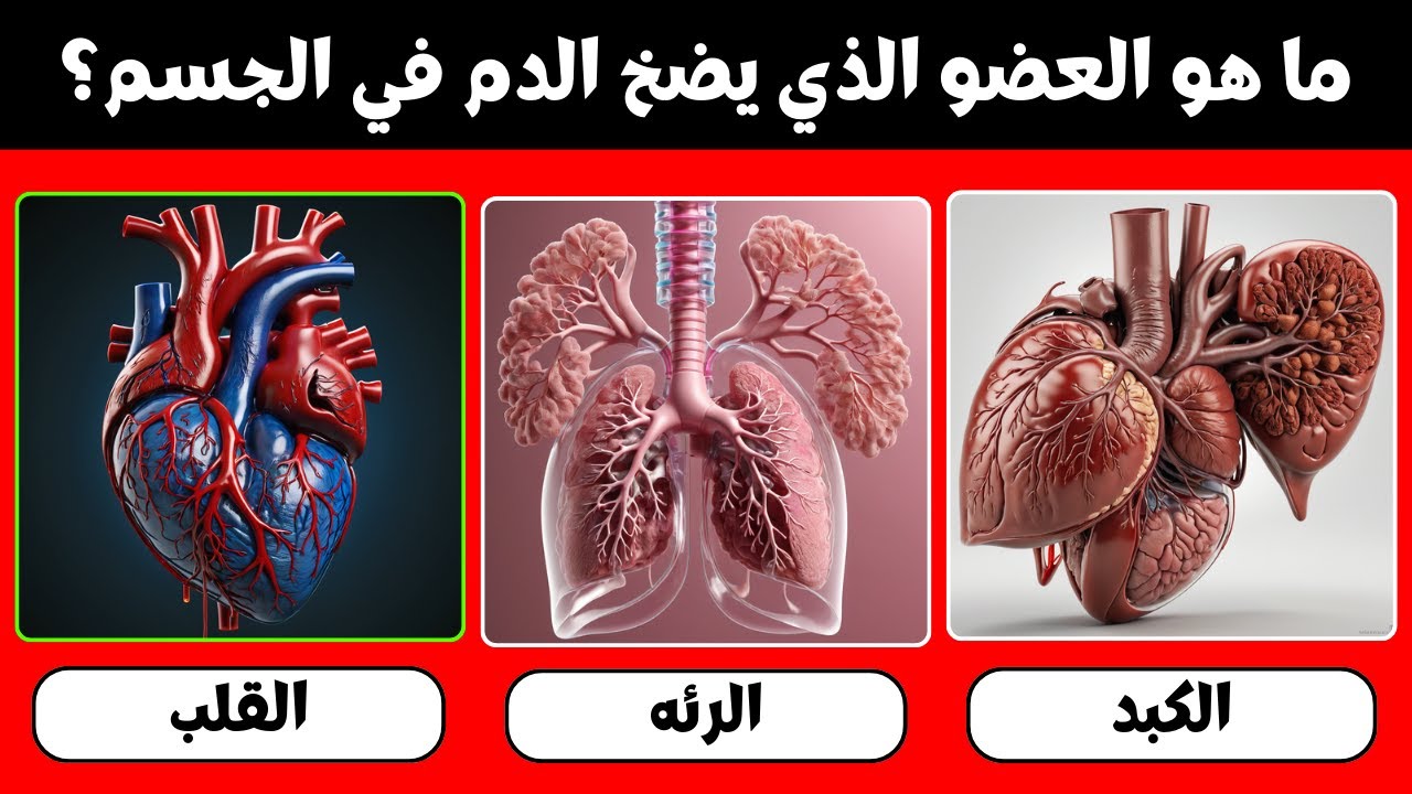 أسئلة ثقافة عامة | 40 سؤالًا ثقافيًا ممتعًا | اختبر معلوماتك في سؤال وجواب | ألغاز صعبة الحل 💡🤯