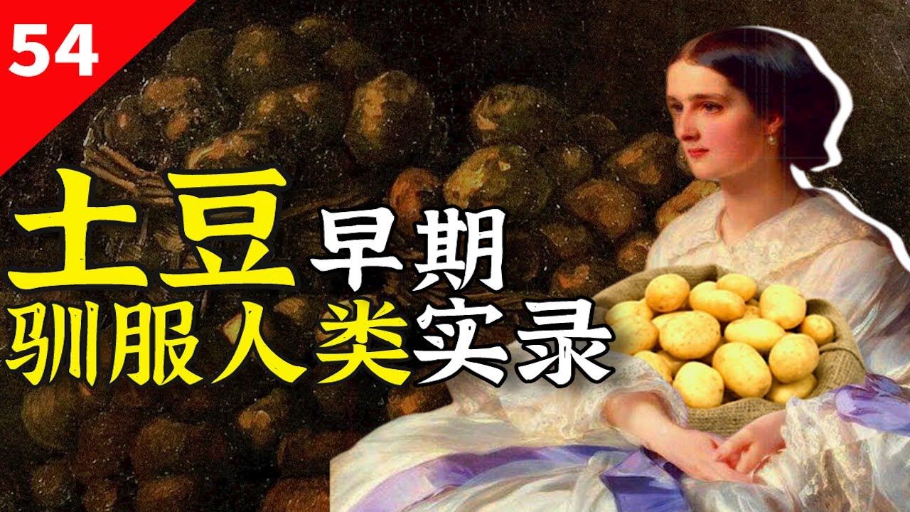 从猪食到你家餐桌，土豆如何征服人类？【一条闲木鱼】