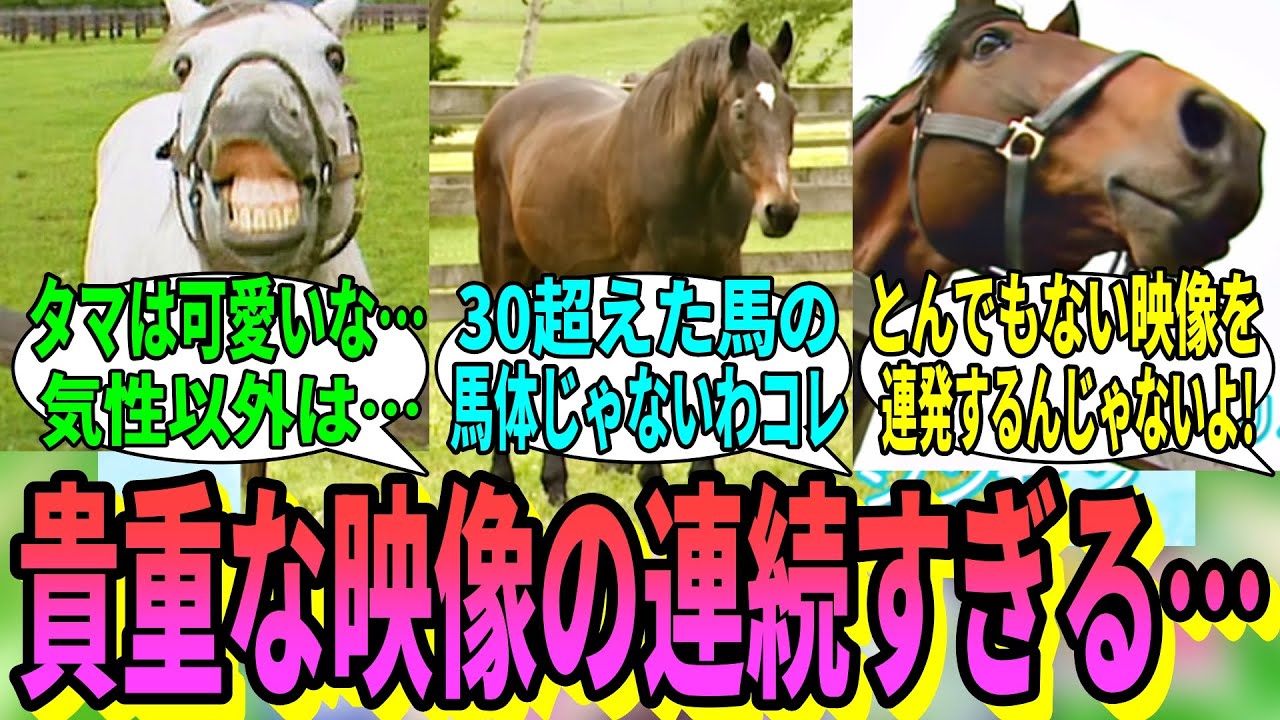 【競馬の反応集】「名馬の放牧集が突如として公開される」に対する視聴者の反応集