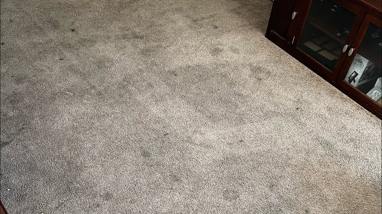 Dirty Carpet Cleaning