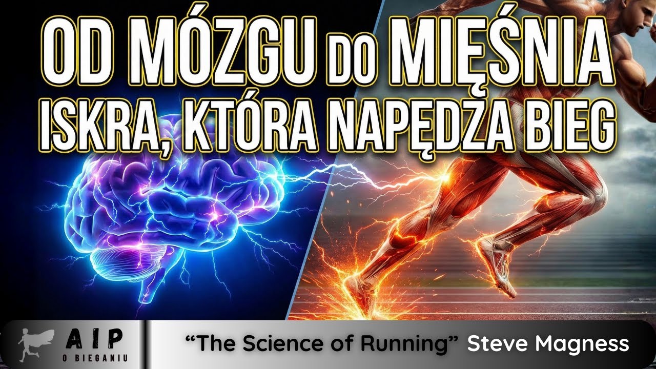 24 - Mózg ważniejszy niż łydki? 🧠⚡ Jak naprawdę działa bieganie