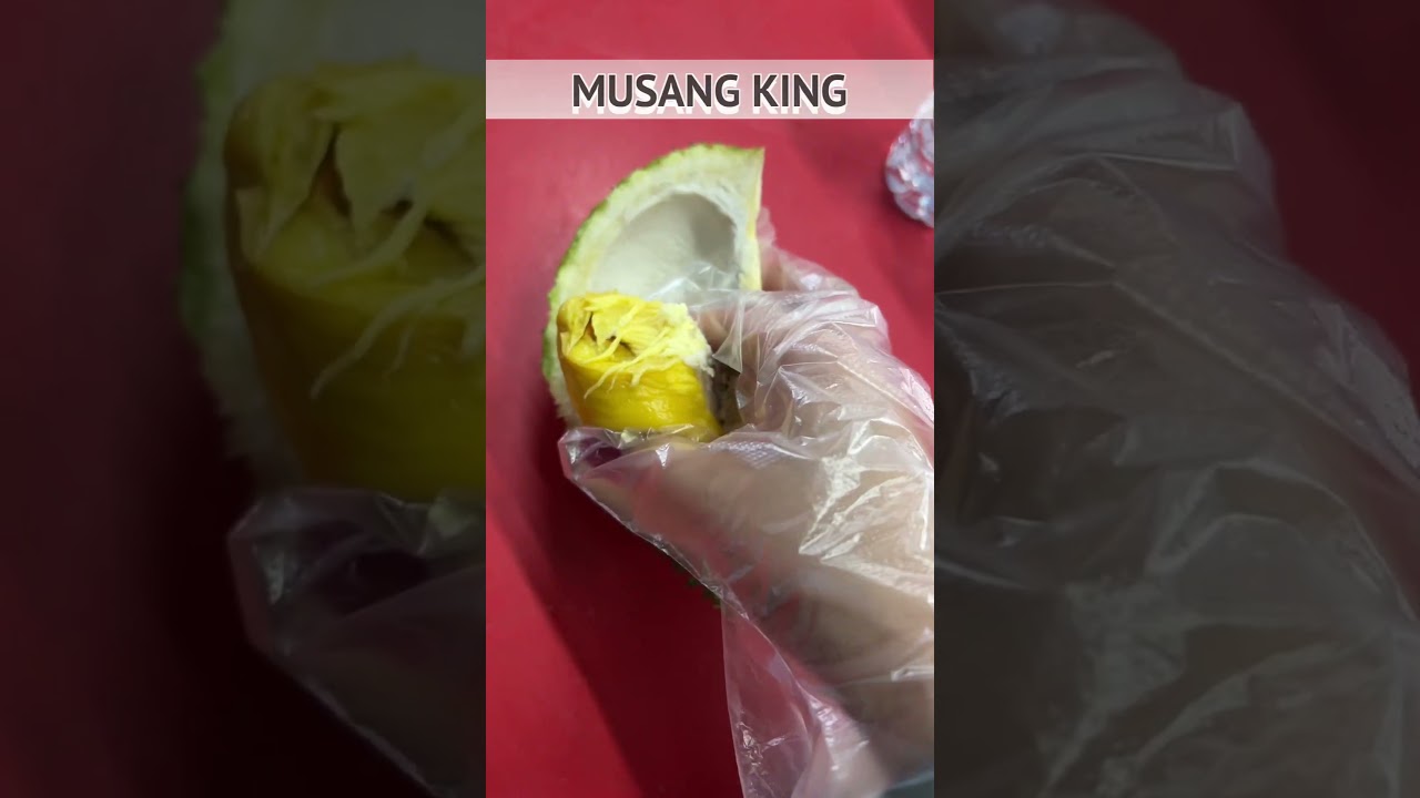 MUSANG KING DURIAN MALAYSIA