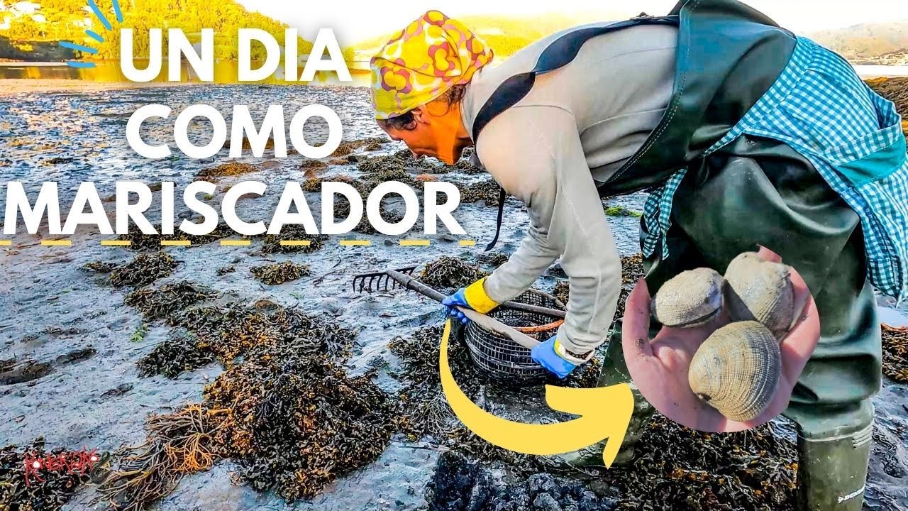 ¿De DÓNDE VIENEN las ALMEJAS?✅UN DÍA COMO MARISCADOR 🔱[Aprende sobre este Oficio]