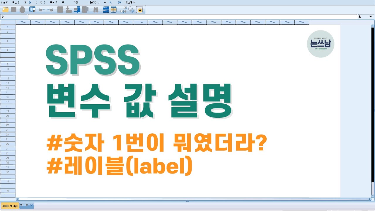 spss 변수 값 설명 - 숫자 데이터를 문자로 바꿔준다고? 값 레이블 하나만 알면 돼!!