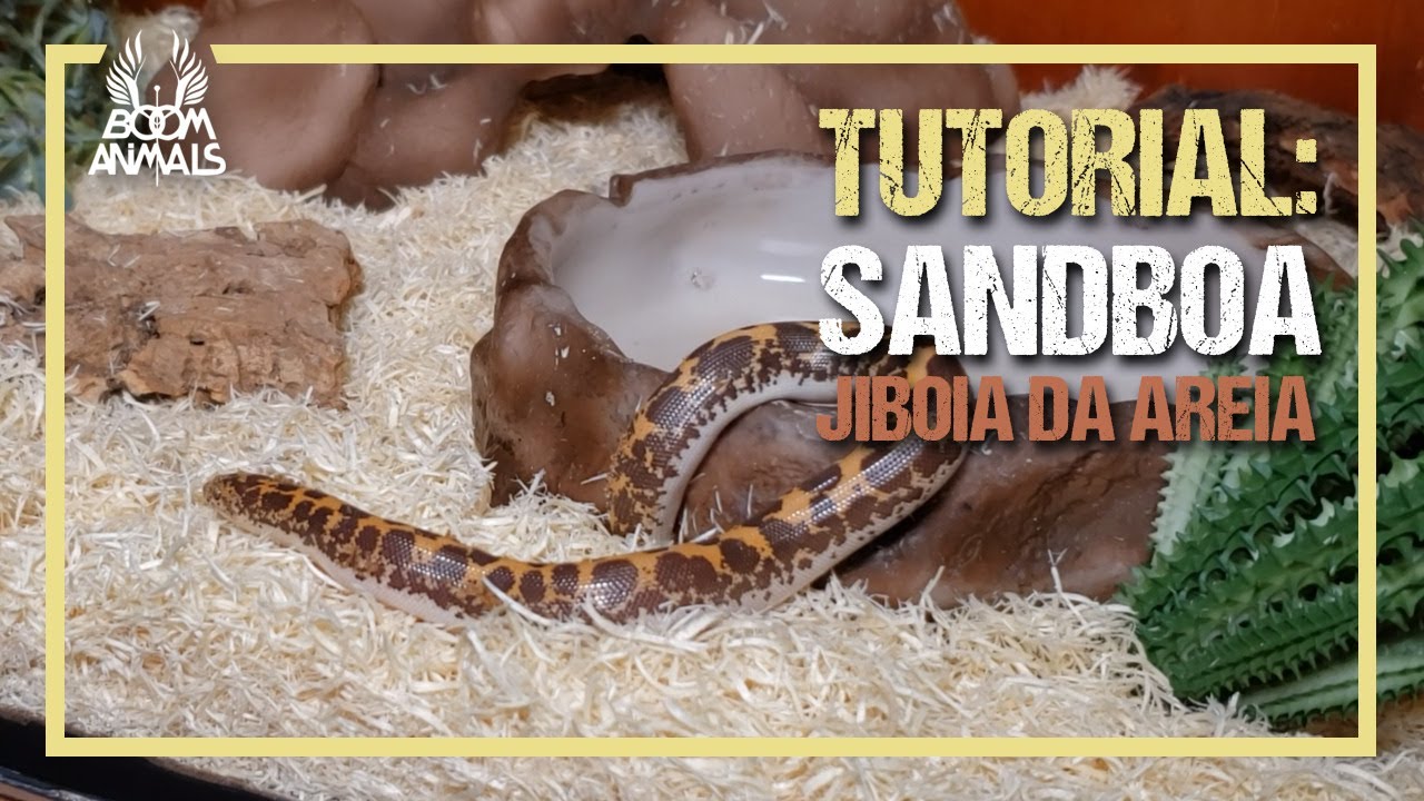 Tutorial: Sand boa