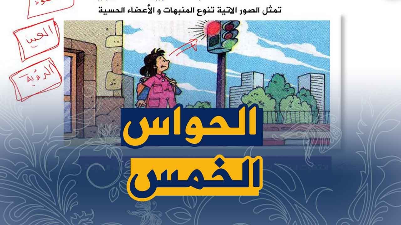 الدرس 17 الارتباط التشريحي للاتصال العصبي الحواس الخمس علوم طبيعية للسنة الرابعة متوسط الجيل الثاني