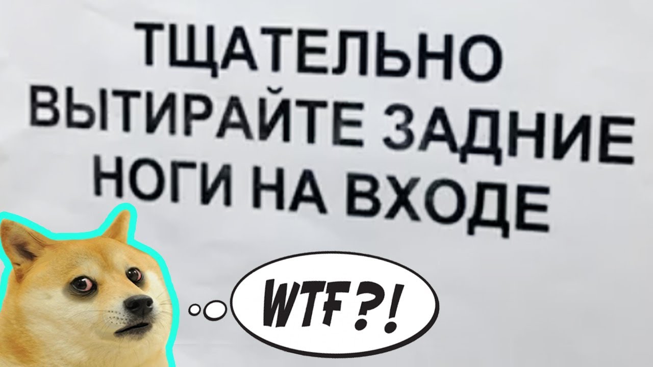 150 САМЫХ УПОРОТЫХ ОБЪЯВЛЕНИЙ - ТЩАТЕЛЬНО ВЫТИРАЙТЕ ЗАДНИЕ НОГИ