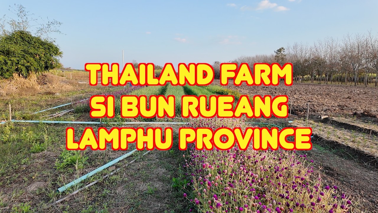 Thailand Episode 14 Lamphu Farm