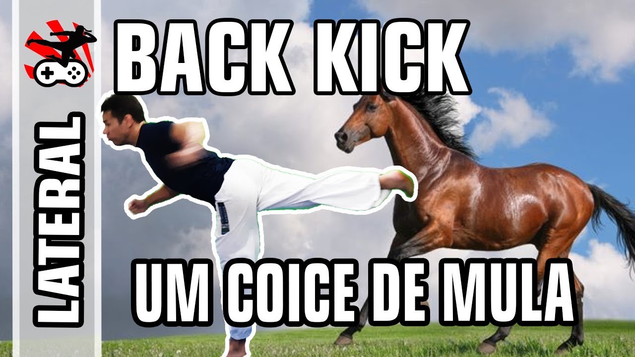 CHUTE TIPO COICE Lateral de Costas Back Kick - Kickboxing Taekwondo Karate Capoeira