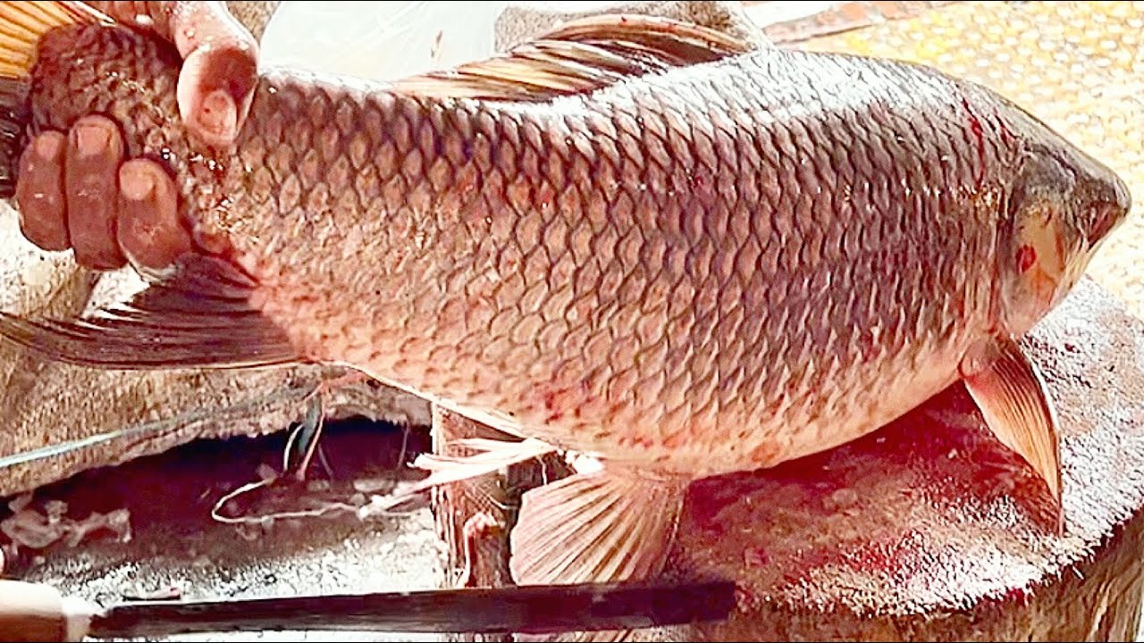 Extreme Cutting Skills | Big Rui Fish Skinning & Chopping By Best Fish Cutter