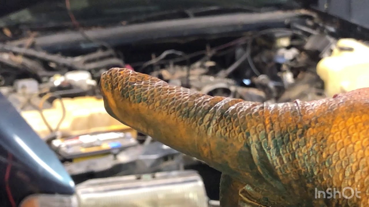 96 impala full engine removal