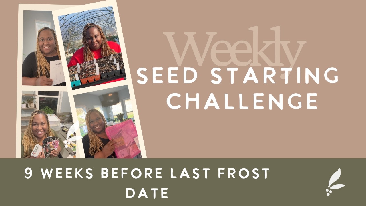 Weekly Seed Starting Challenge-9 Weeks Before Last Frost Date| Zone 7