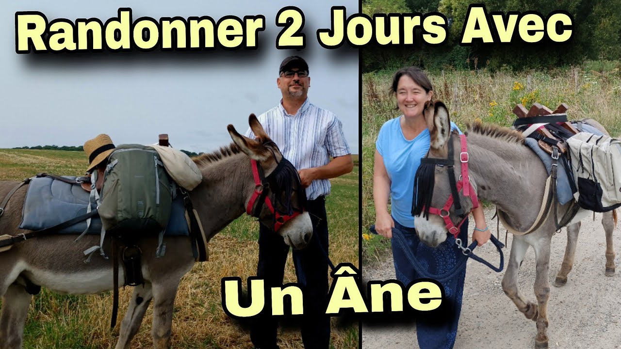 La Traversée du Vexin Français - Avec un Âne