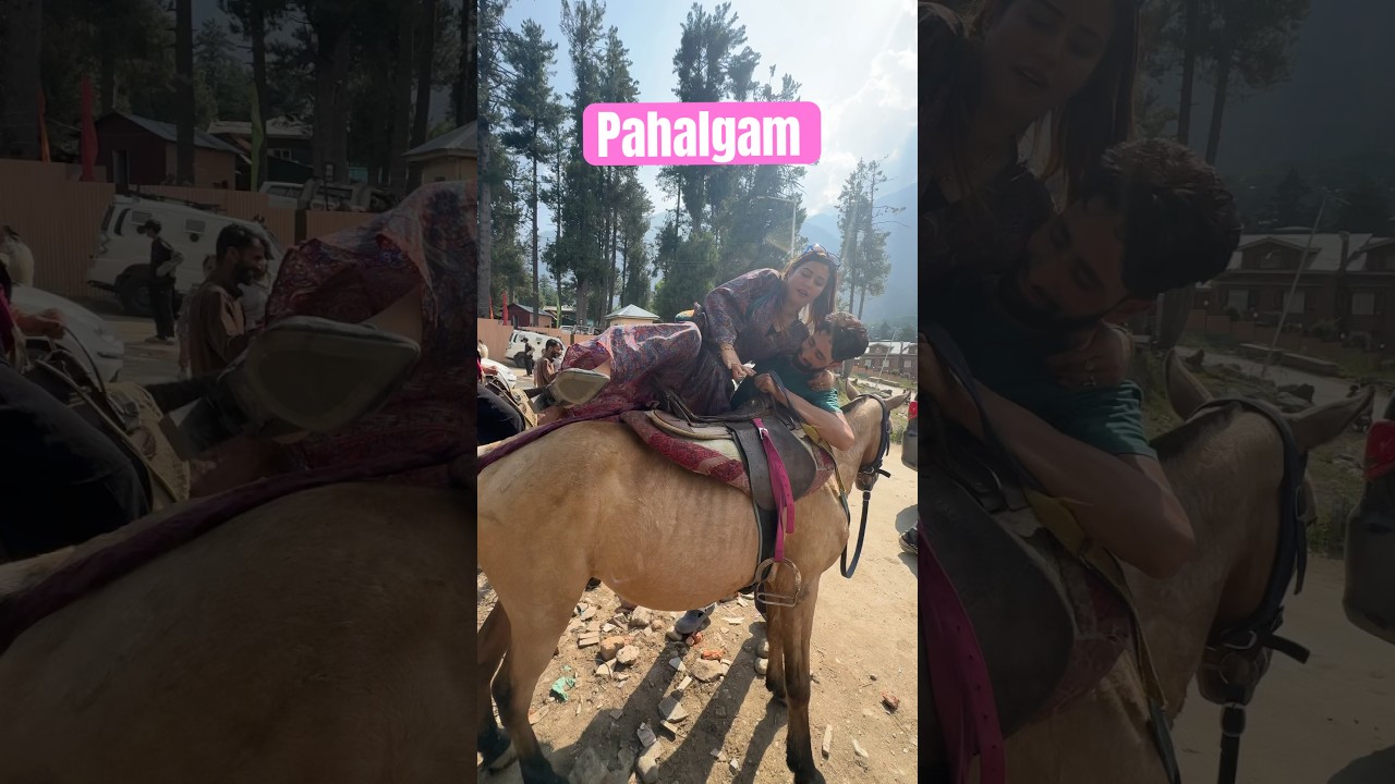 #pahalgam  #youtubeshorts #viralvideo #recommended  #kashmir  #kasmir