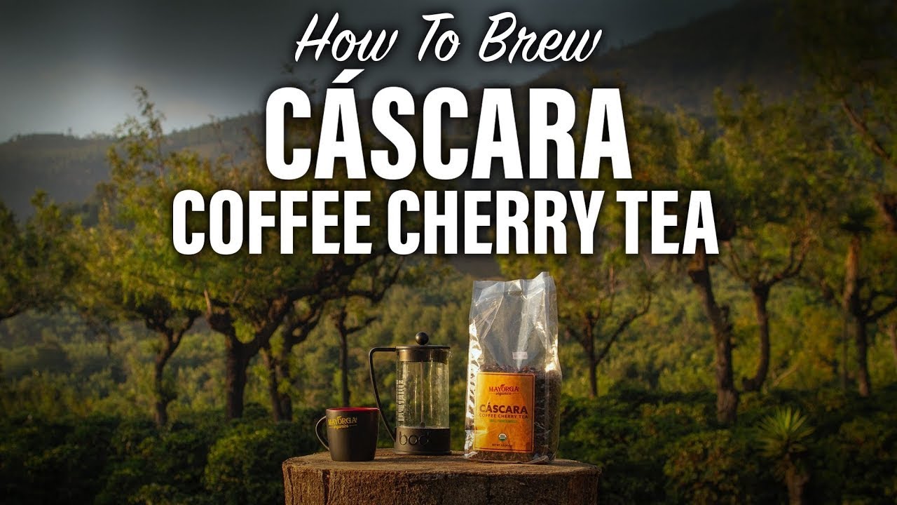 How to brew C&aacute;scara Coffee Cherry Tea 🍒☕️ in a French Press | Step by Step ☕