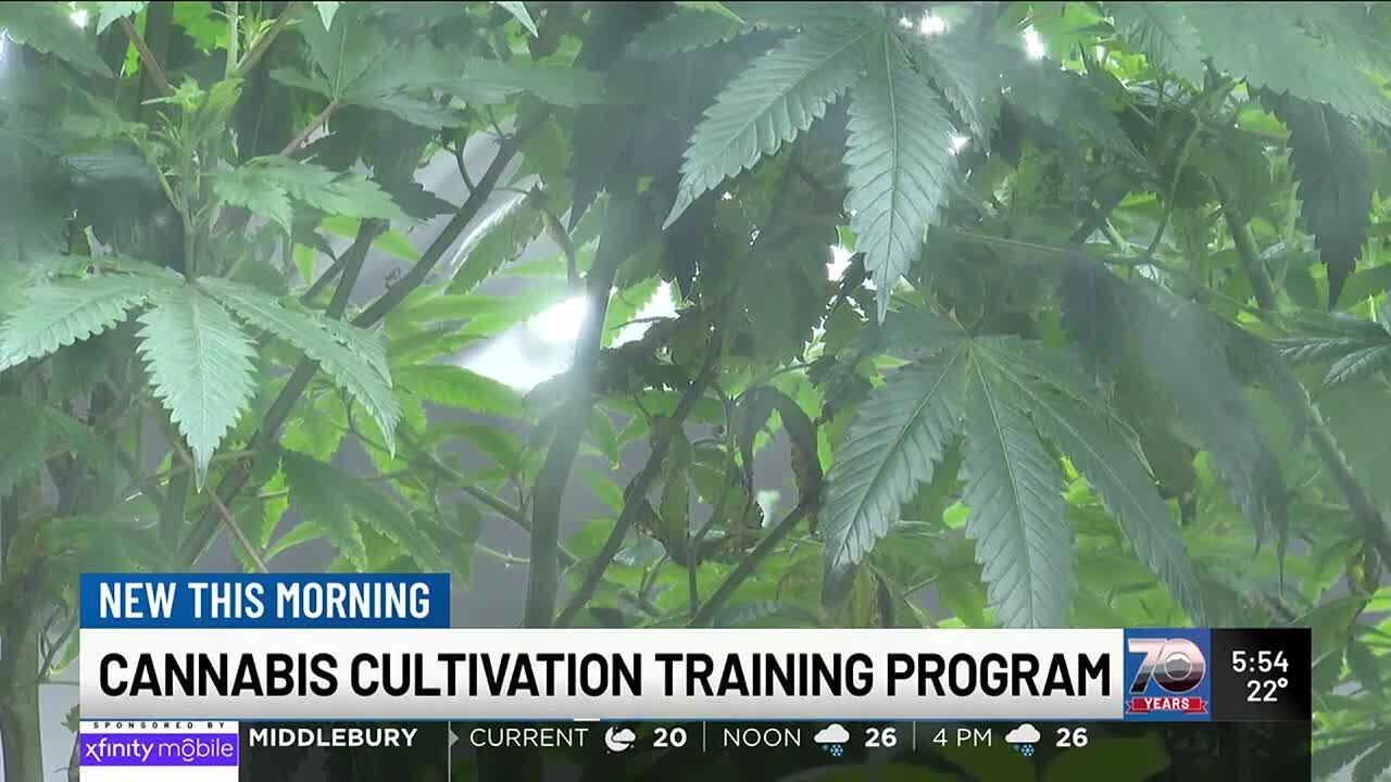 New N.Y. college program offers cannabis cultivation training