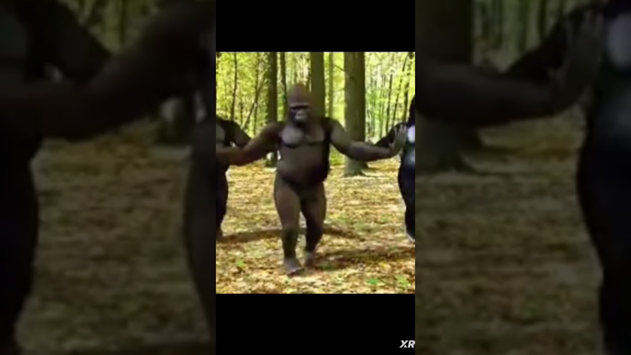 LA VEM O HOMEM MACACO CORRENDO ATR&Aacute;S DE MIM 😂 😂 😂 😂