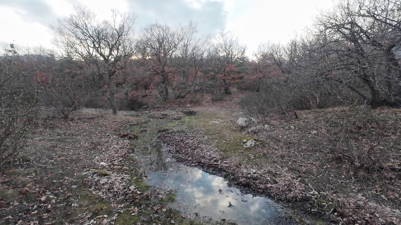 SEBZE MANGALI HANGİ MEŞE KÖZÜNDE OLMALI?