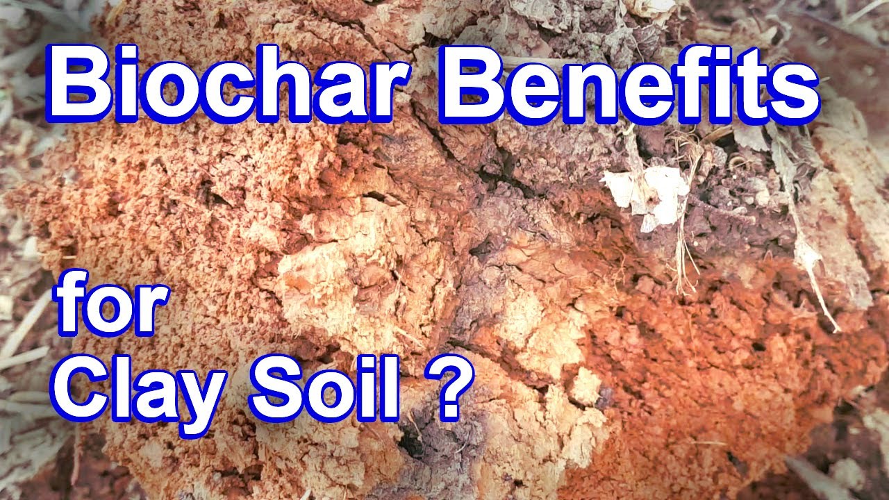 Biochar Benefits - Improving Clay Soil for Garden and Lawns