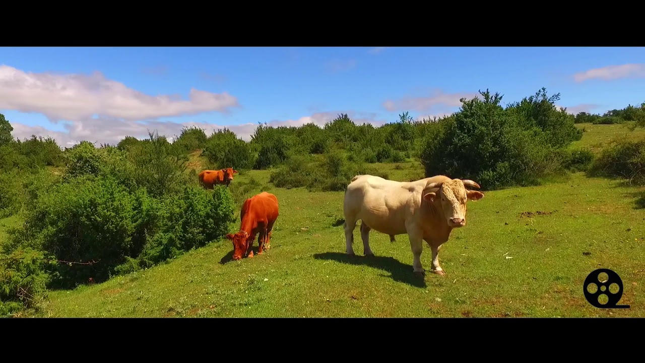 LOKIZ, El Documental. Navarra