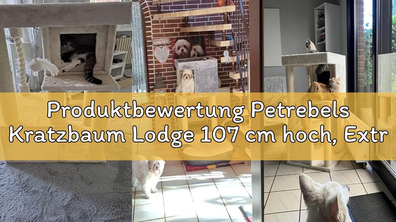 Produktbewertung Petrebels Kratzbaum Lodge 107 cm hoch, Extrem stabil, mit XXL Sofa, Auch Ideal für