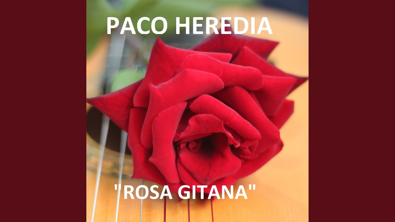 Rosa Gitana