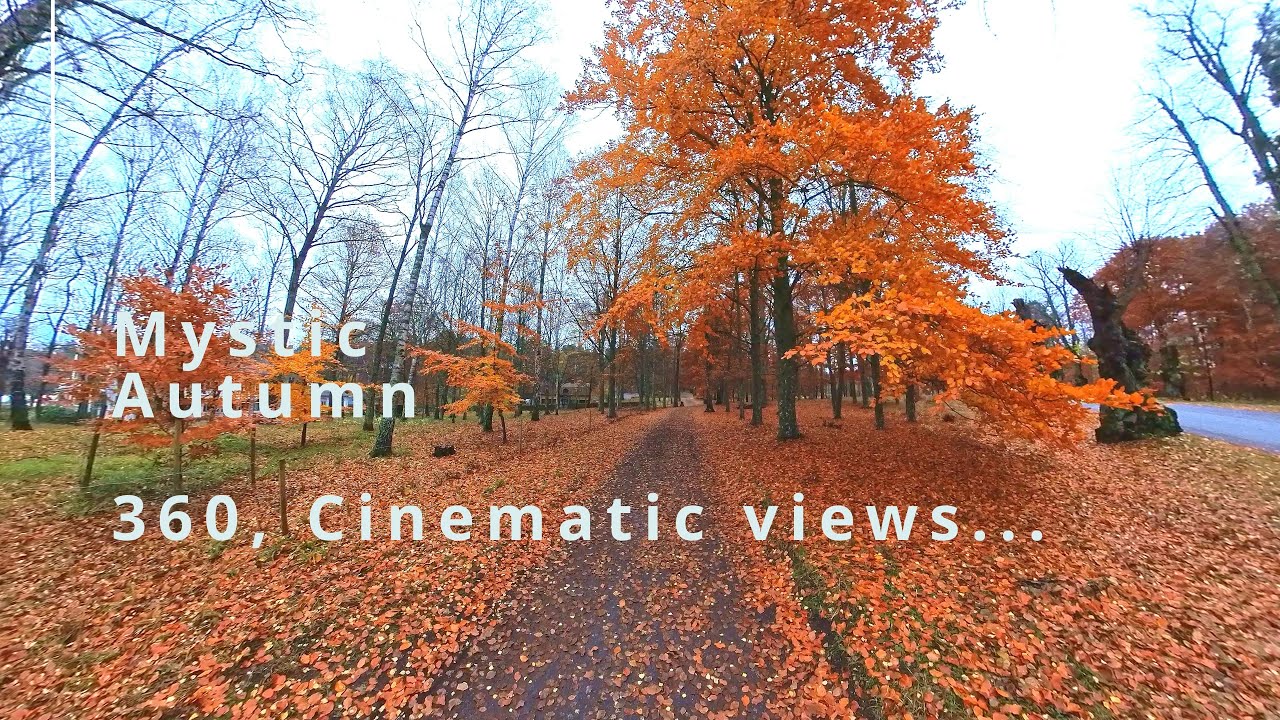 Don't miss out the Mystic Autumn!!!! Captivating & engaging video!!