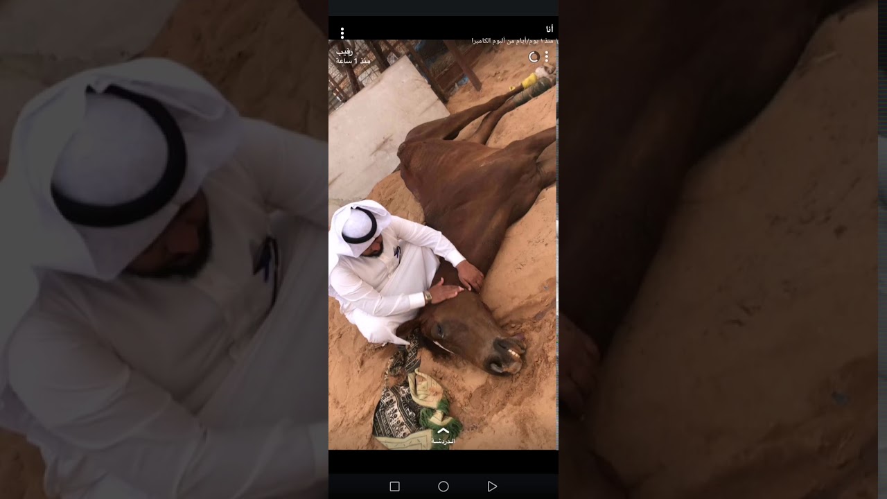 لقاء  سناب مربط الفارس مع المدرب والمالك حمد الحصين