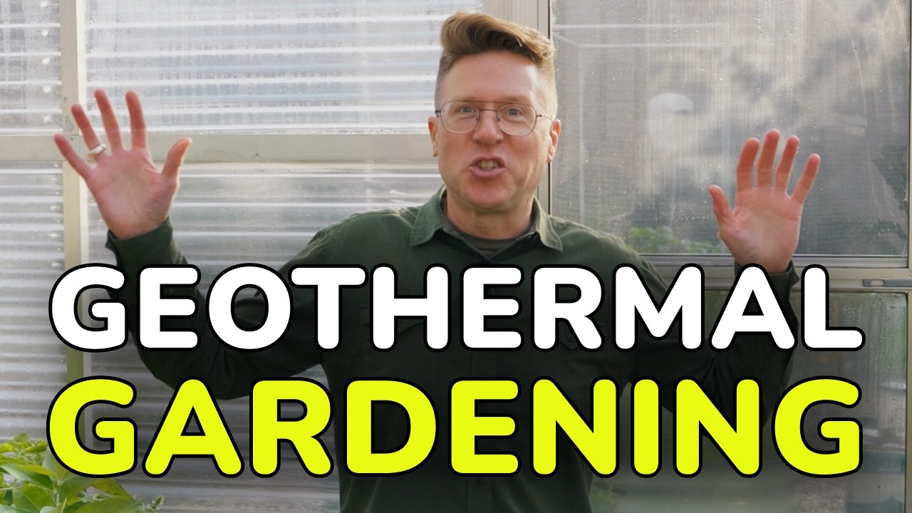 Growing Fresh Food Year-Round: 5 Lessons from My Urban Greenhouse