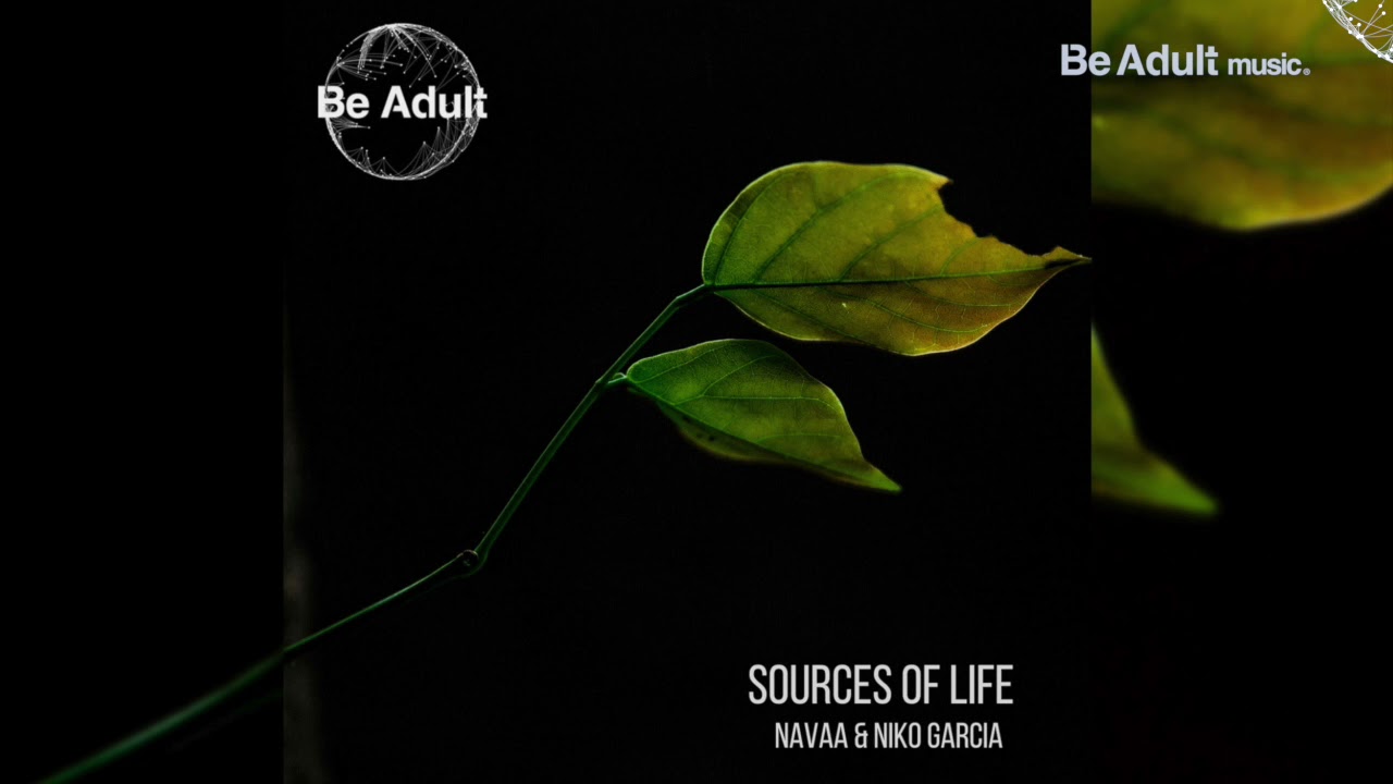 Navaa & Niko Garcia - Source Of Life 🎵