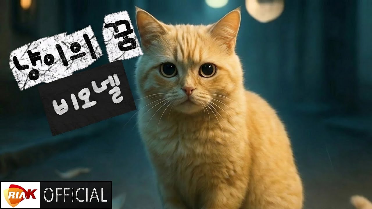 [MV] 비오넬 - 냥이의 꿈