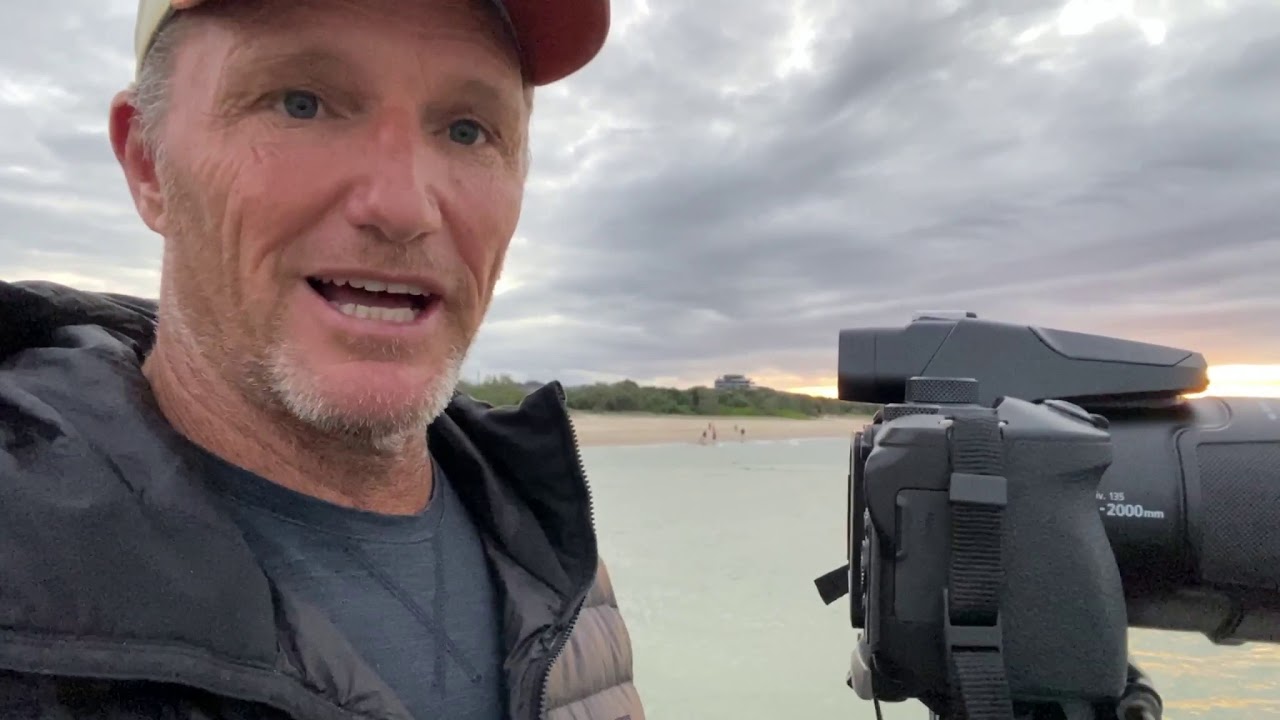 NIKON P950 unbox, field test and review - Ultra zoom, surfing, foil surfing, birdlife