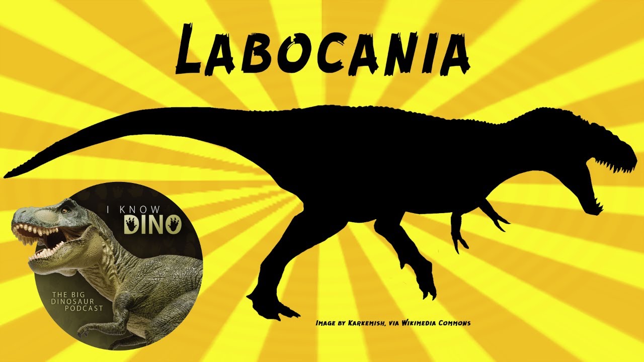 Labocania: Dinosaur of the Day