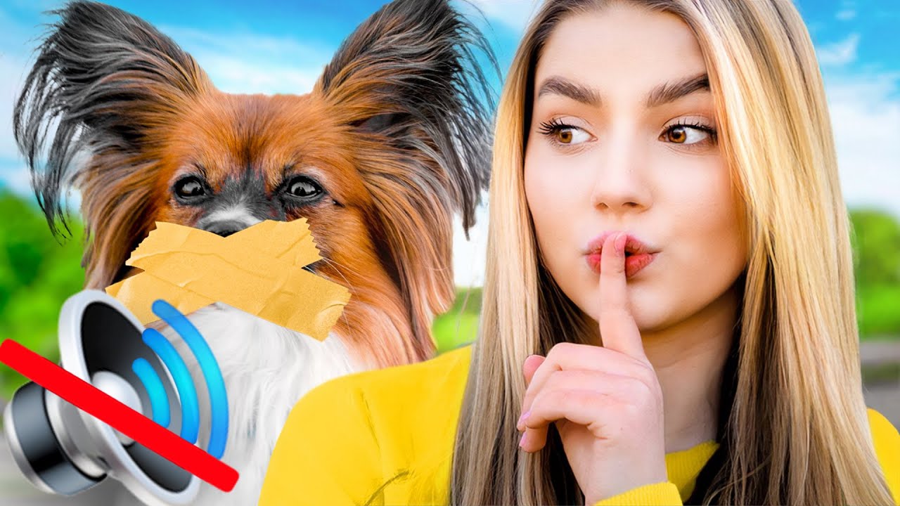 JEŚLI PIES SZCZEKNIE KOŃCZYMY FILM!